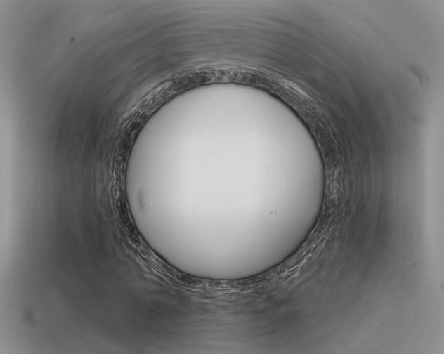 X0000115550774200911061126