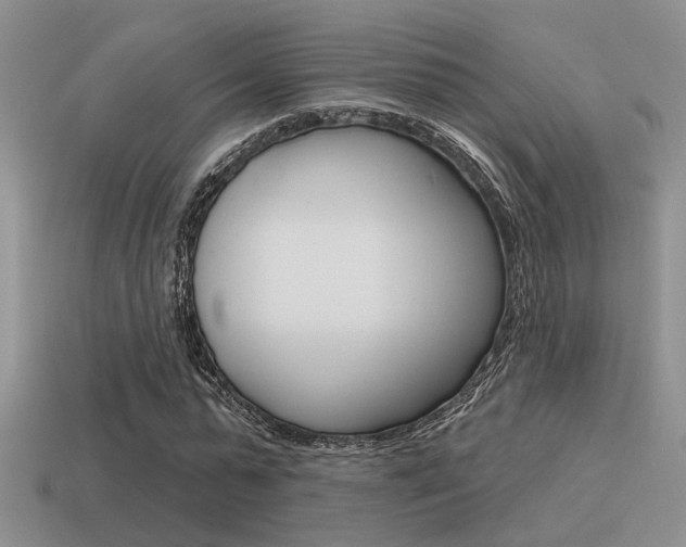 X0000115550775200911061126