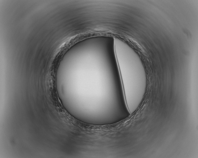 X0000115550776200911061126