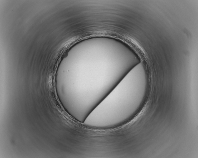 X0000115550777200911061126