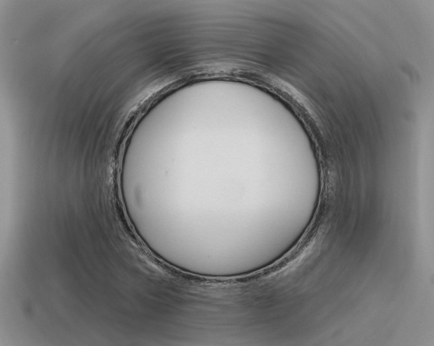 X0000115550778200911061126