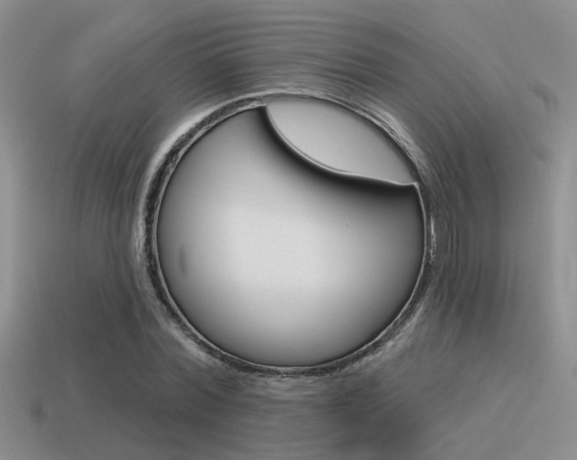 X0000115550780200911061126