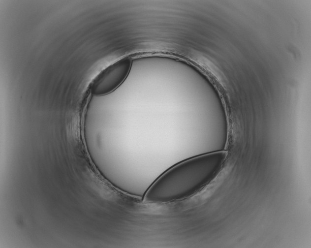 X0000115550781200911061126