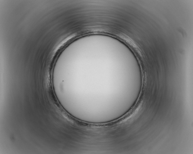 X0000115550782200911061126