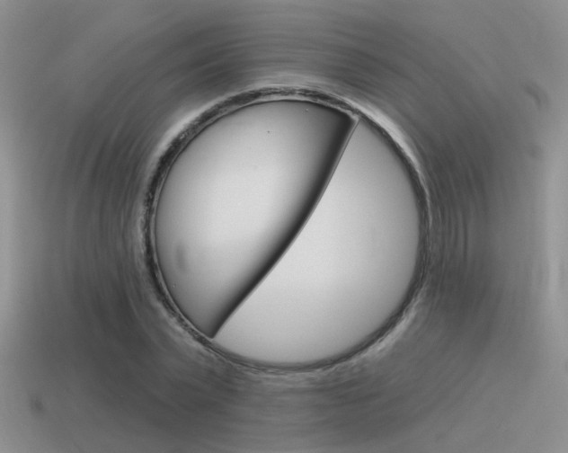 X0000115550783200911061126