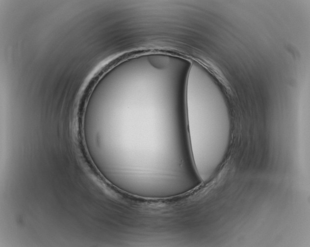 X0000115550784200911061126