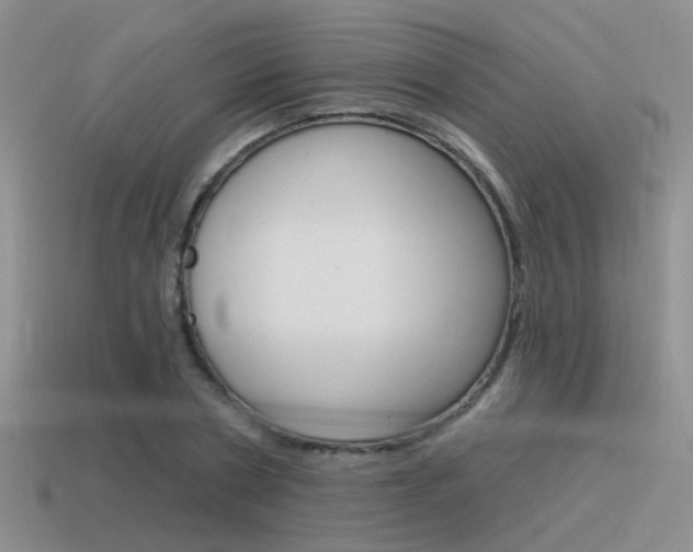 X0000115550786200911061126
