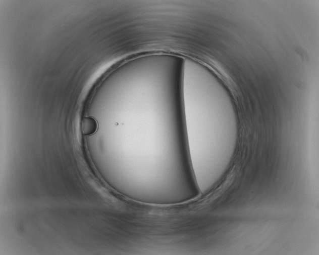 X0000115550788200911061126