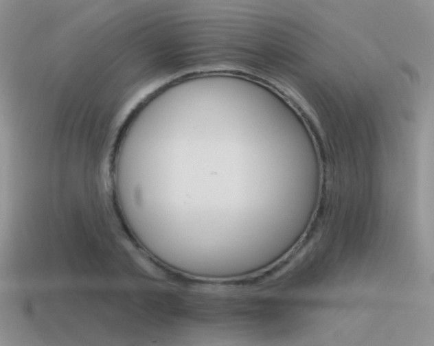 X0000115550789200911061126