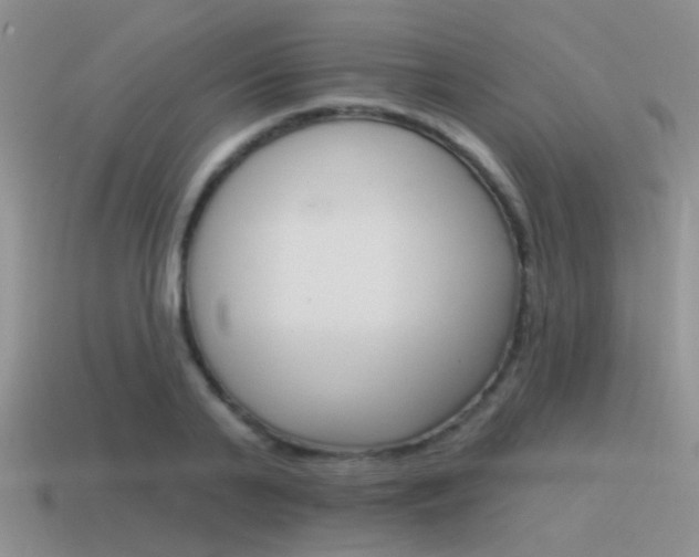 X0000115550791200911061126