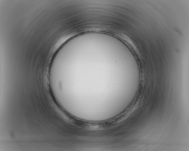 X0000115550794200911061126