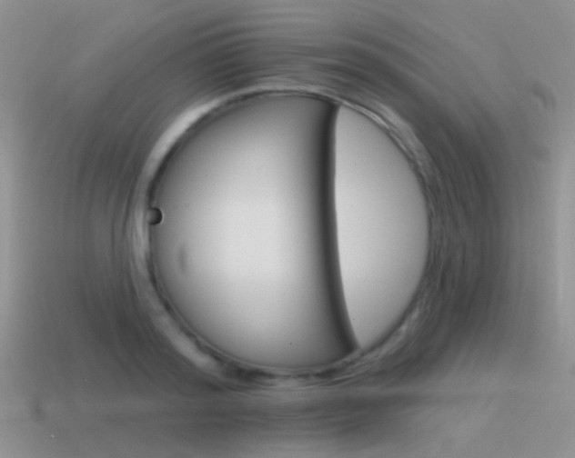 X0000115550796200911061126