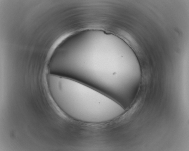 X0000115550804200911061126