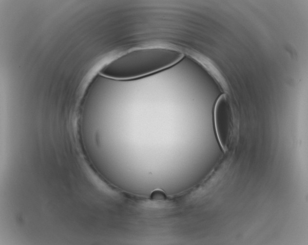 X0000115550805200911061126