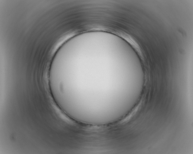 X0000115550806200911061126