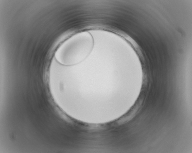 X0000115550807200911061126