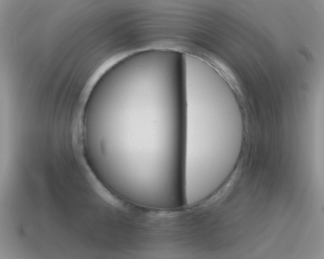 X0000115550808200911061126
