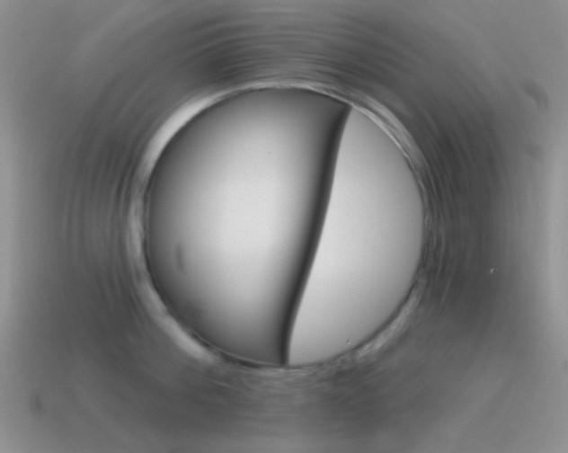 X0000115550812200911061125