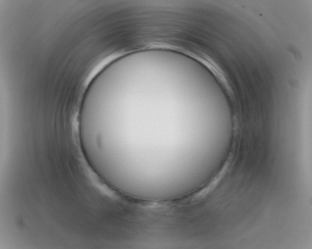 X0000115550814200911061125