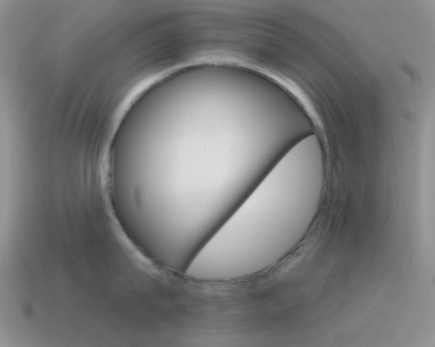 X0000115550815200911061125