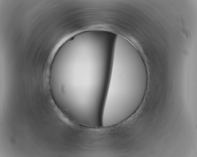 X0000115550816200911061125
