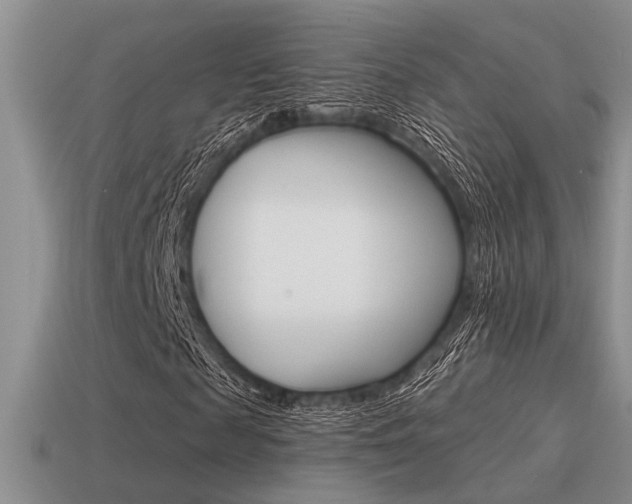 X0000115550817200911061125