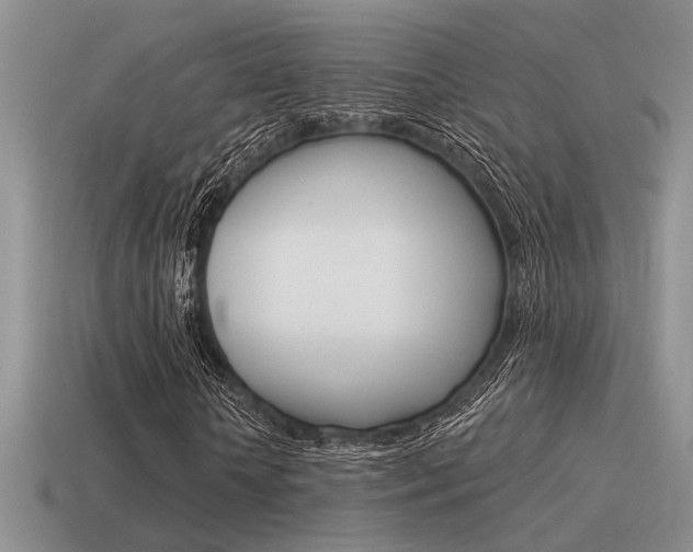 X0000115550818200911061125