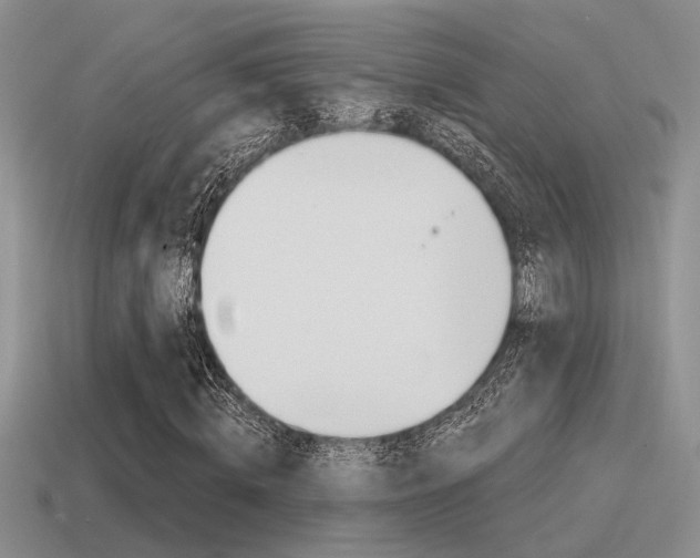 X0000115550820200911061125