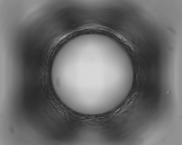 X0000115550822200911061125