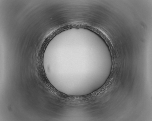 X0000115550823200911061125