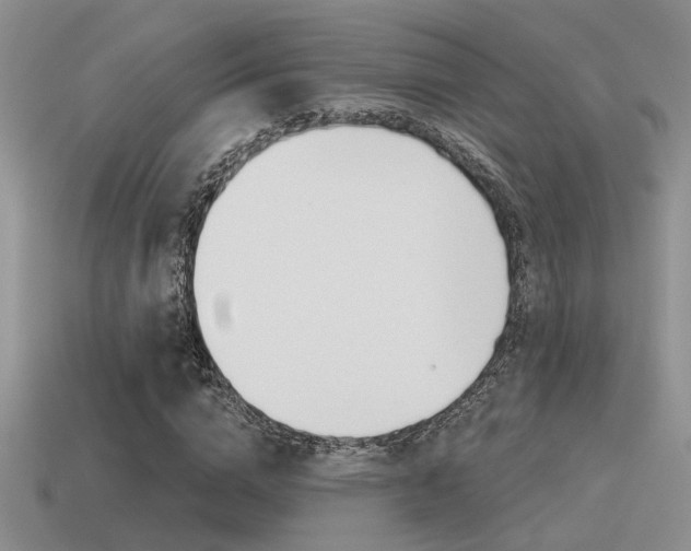 X0000115550824200911061125