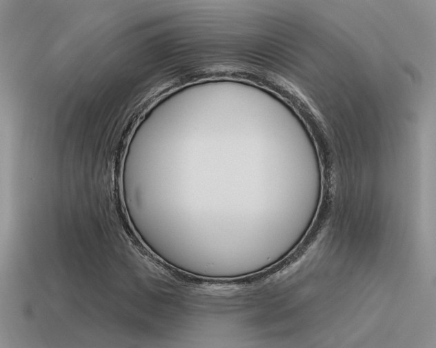 X0000115550825200911061125