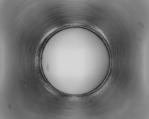 X0000115550827200911061125