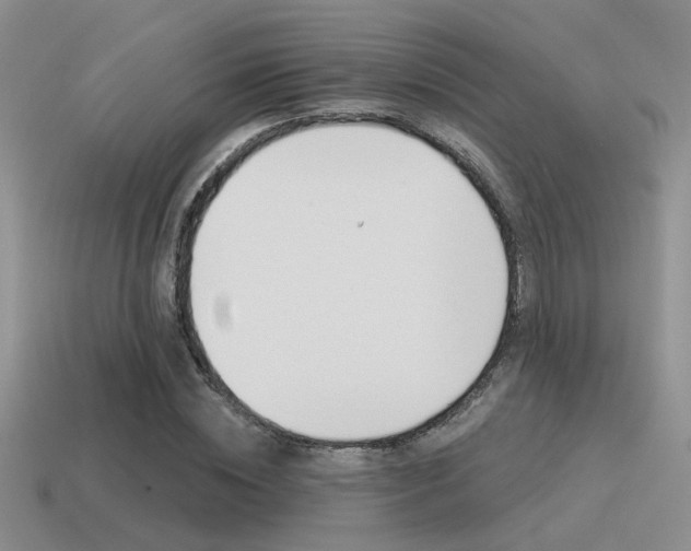 X0000115550828200911061125