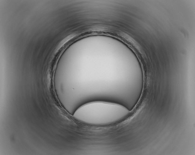 X0000115550829200911061125