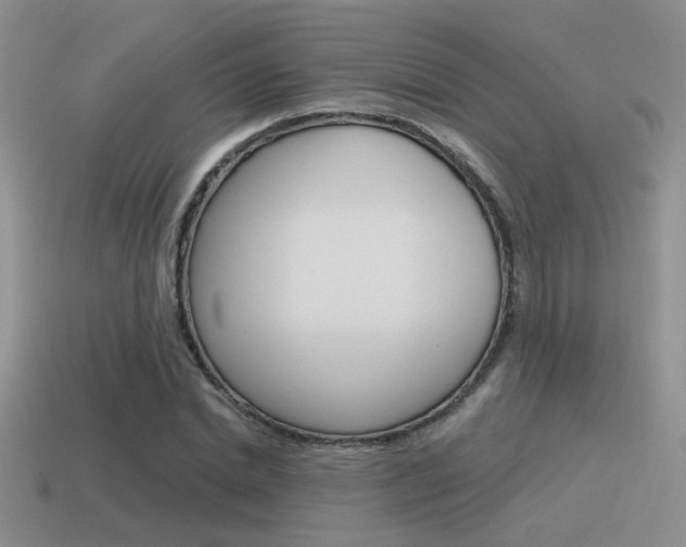 X0000115550830200911061125