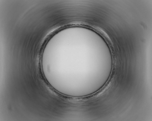 X0000115550831200911061125