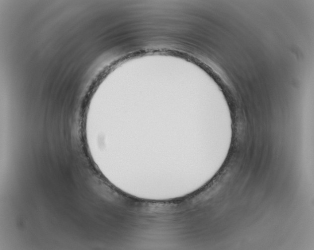X0000115550832200911061125