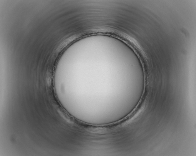 X0000115550833200911061125