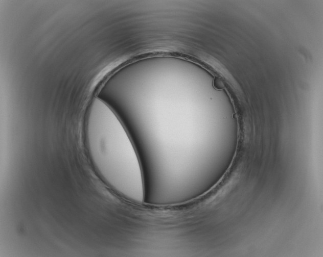 X0000115550834200911061125
