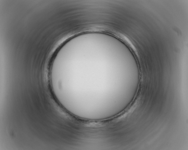 X0000115550835200911061125