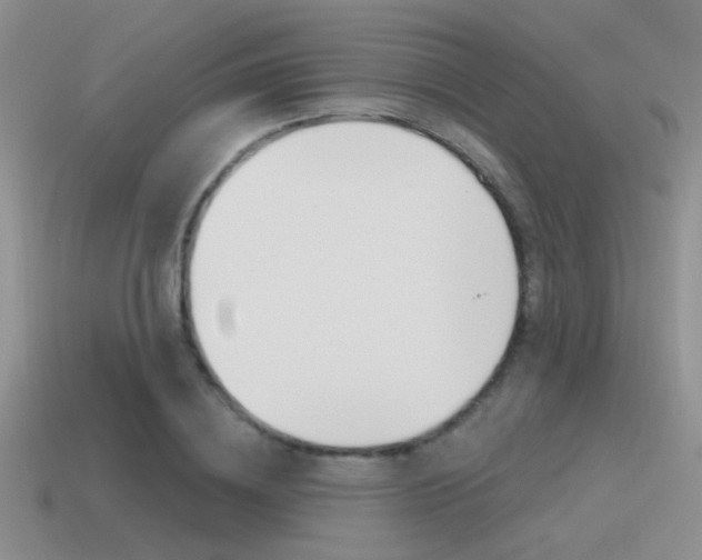 X0000115550836200911061125