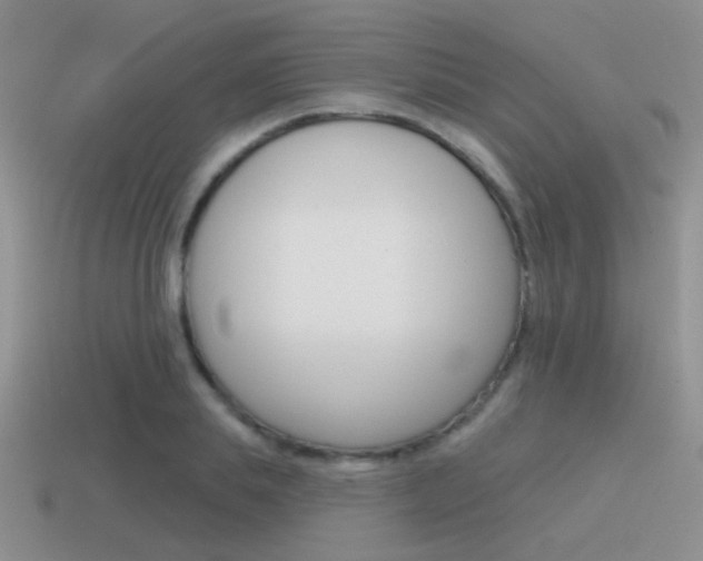 X0000115550839200911061125