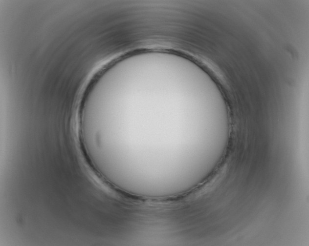 X0000115550840200911061125