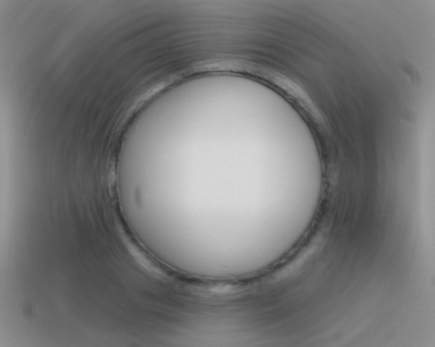 X0000115550841200911061125