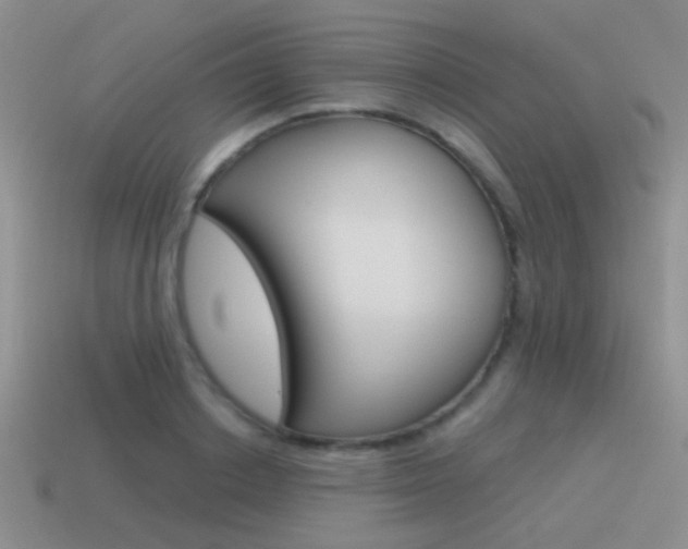 X0000115550842200911061125