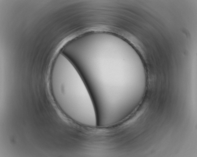 X0000115550845200911061125