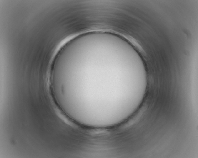 X0000115550846200911061125