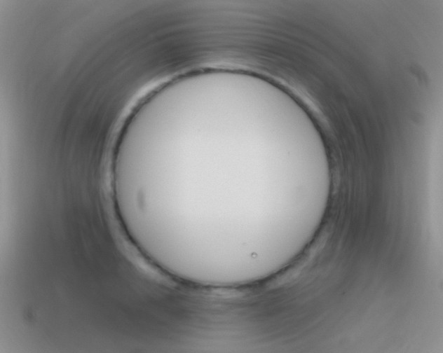 X0000115550848200911061125