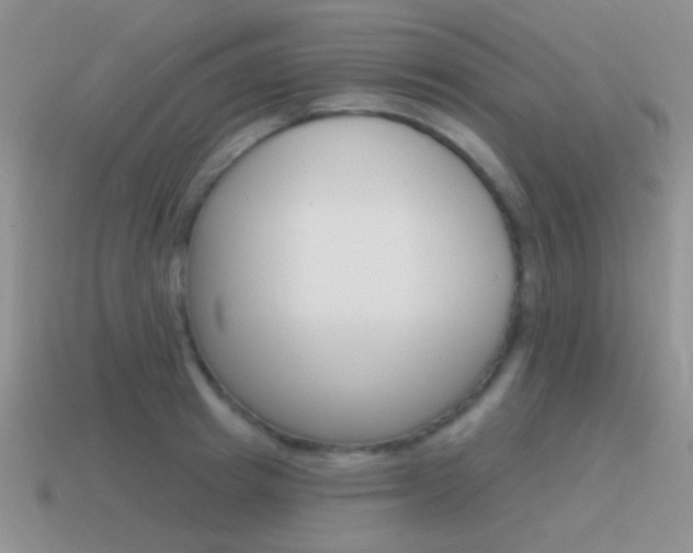 X0000115550849200911061125